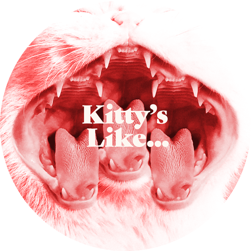 Yawning cat with three mouths. Image is pink and white. Retro font "Kitty's Like..." centered